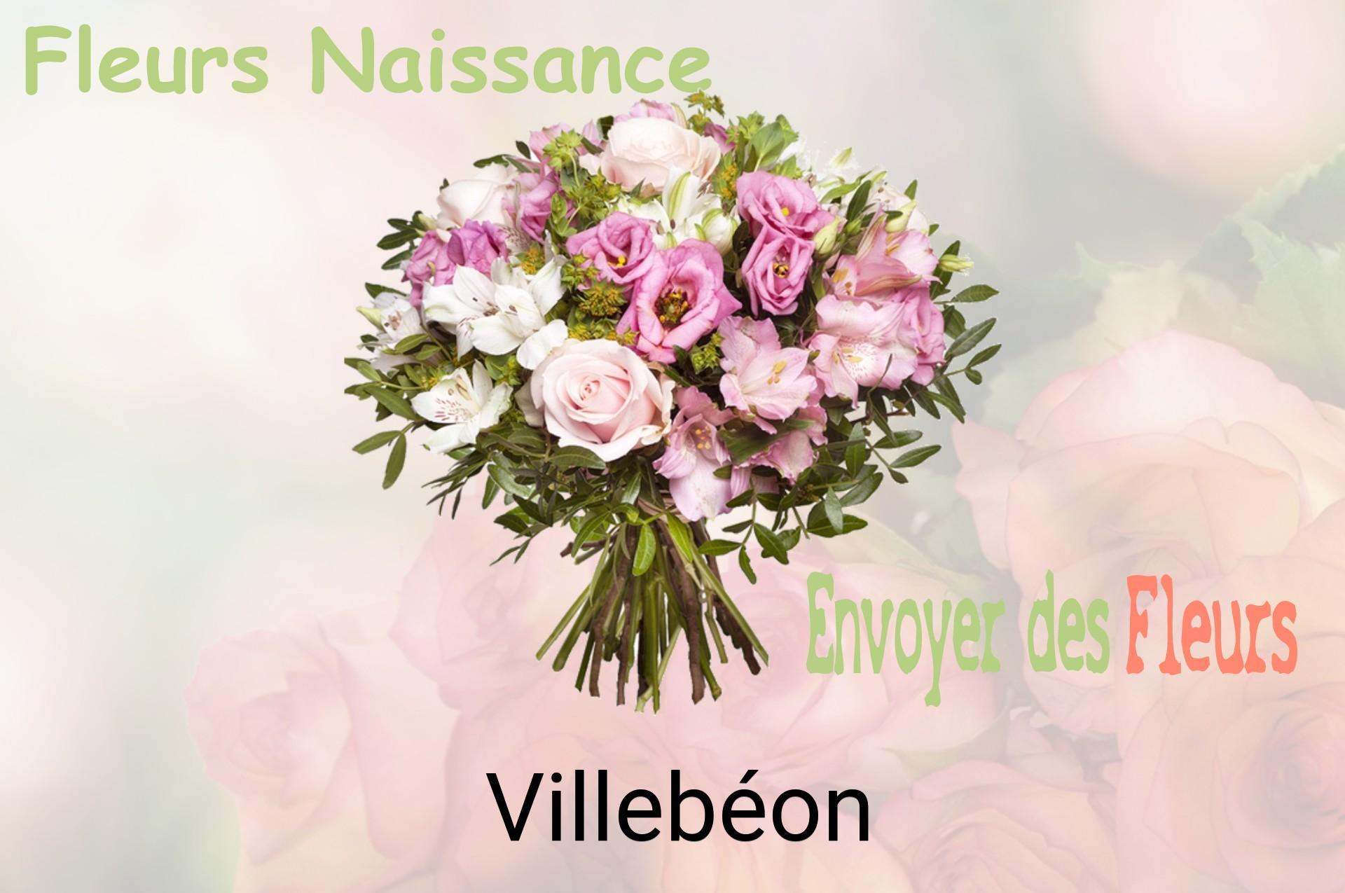 Bouquet de fleurs de naissance livré à Villebéon